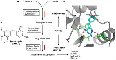 Multicomponent Reactions Upon the Known Drug Trimethoprim as a Source of Novel Antimicrobial Agents